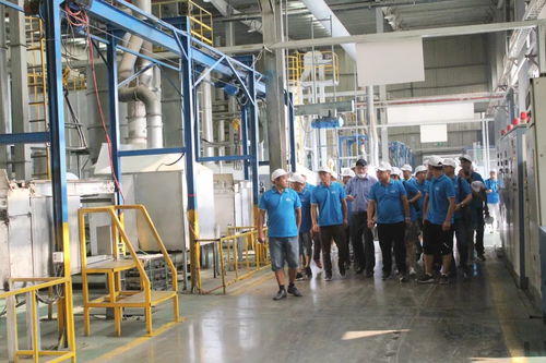 理士零距離 泰州客戶安徽工廠參觀記，探索安徽建材新視野